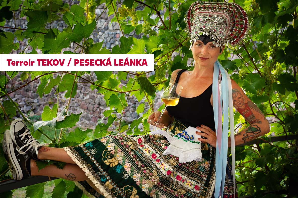 Tekovská vínna cesta