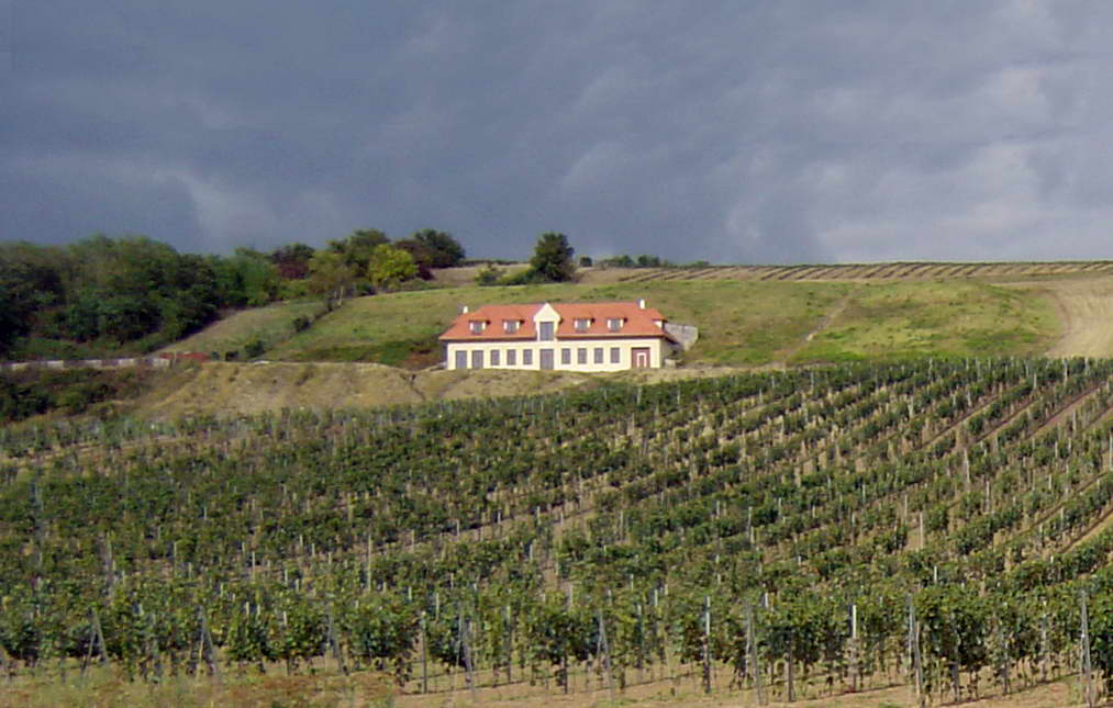 Palík Pincészet, a zselízi bor vidék
